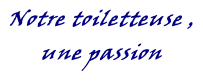 Notre toiletteuse , une passion