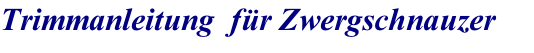 Trimmanleitung  für Zwergschnauzer