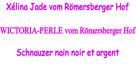 Xélina Jade vom Römersberger Hof   WICTORIA-PERLE vom Römersberger Hof  Schnauzer nain noir et argent