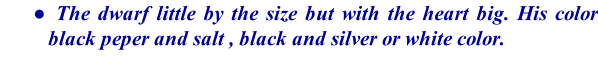 The dwarf little by the size but with the heart big. His color black peper and salt , black and silver or white color.