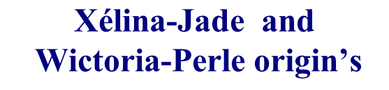 Xélina-Jade  and  Wictoria-Perle origin’s